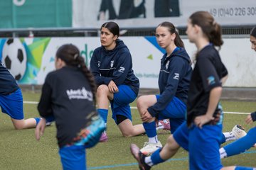 Bild 43 - wBJ Hamburger SV - FC Suederelbe : Ergebnis: 9:0